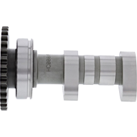 (image for) Hot Cams Racing Camshaft Intake - Yamaha YZ450F/X