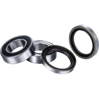 (image for) Race Series Rear Wheel Bearing Kit
