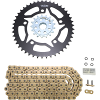 (image for) Vortex SSCS Steel Chain Kit (Gold) for BMW S1000RR 20-23