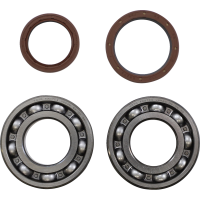 (image for) Crank Bearing and Seal Kit - BETA 520 RS 4T 14