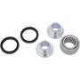 (image for) Lower Shock Bearing Kit