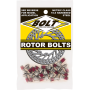 (image for) Rotor Bolt Kit - Suzuki RM125/250