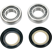(image for) Steering Stem Bearing Kit 0410-0019