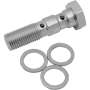 (image for) Chrome Dual Banjo Bolt 3/8"-24