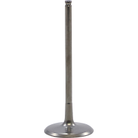 (image for) Tensilite Titanium Intake Valve