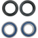 (image for) Front Wheel Bearings and Seal Kit
