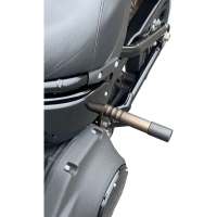 (image for) Bronze Rear Guards