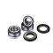 (image for) Factory Links OEM Series Rear Wheel Bearing Kit 0215-1608