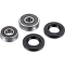 (image for) Factory Links OEM Series Rear Wheel Bearing Kit 0215-1232