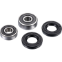 (image for) Factory Links OEM Series Rear Wheel Bearing Kit 0215-1232