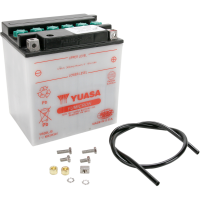 (image for) Yumicron 12V Battery YB30L-B