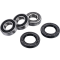 (image for) Factory Links OEM Series Rear Wheel Bearing Kit 0215-1226