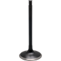 (image for) Fat Stem Black Diamond Exhaust Valve