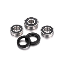 (image for) Rear Wheel Bearing Kit - BETA