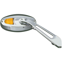 (image for) Turn Signal Mirrors