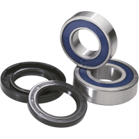 (image for) Rear Wheel Bearing and Seal Kit