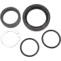 (image for) Countershaft Seal Kit 0935-0433