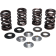 (image for) Lightweight Racing Valve Spring Kit