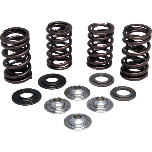 (image for) KIBBLEWHITE Lightweight Racing Valve Spring Kit