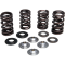 (image for) Lightweight Racing Valve Spring Kit