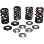 (image for) Lightweight Racing Valve Spring Kit