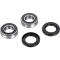 (image for) Front Wheel Bearing Kit - YAMAHA