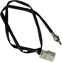 (image for) 12mm Narrow Band O2 Sensor - Front (29")