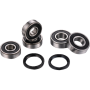(image for) Factory Links OEM Series Rear Wheel Bearing Kit 0215-1236