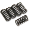 (image for) Barnett Clutch Spring Set 1131-0773
