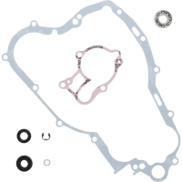 (image for) Vertex Water Pump Rebuild Kit