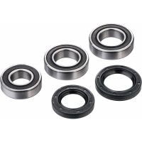 (image for) Rear Wheel Bearing Kit - GASGAS