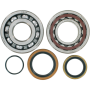 (image for) Crank Bearing and Seal Kit - KTM 200 XC-W 06-16