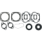 (image for) Complete Engine Gasket Set for Ski-Doo Valmont 399 71