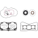(image for) Vertex Complete Engine Gasket Set - Switchback Pro 800 S/X 15-17