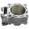 (image for) Cylinder Works Standard Bore cylinder (only)