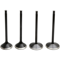 (image for) Black Diamond Valve Kit for Twin Cam