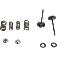 (image for) Stainless Steel Conversion Valve and Spring Kit - Intake