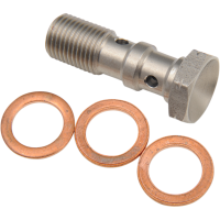 (image for) Double Banjo Bolt for BMW, Ducati, Suzuki, 10 mm x 1.0, Stainless Steel