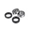 (image for) Factory Links OEM Series Rear Wheel Bearing Kit 0215-1558