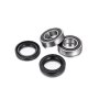 (image for) Factory Links OEM Series Rear Wheel Bearing Kit 0215-1558