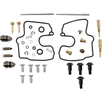 (image for) Carburetor Repair Kit