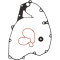 (image for) ProX Water Pump Repair Kit