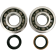 (image for) Main Bearing and Seal Kit - SUZUKI RM250 05-08