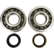 (image for) Main Bearing and Seal Kit - SUZUKI RM250 05-08