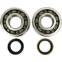 (image for) Main Bearing and Seal Kit - SUZUKI RM250 05-08
