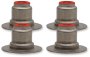 (image for) Viton Valve Seal (Each)