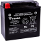 (image for) Yuasa High-Performance Factory-Activated AGM Battery 2113-0106