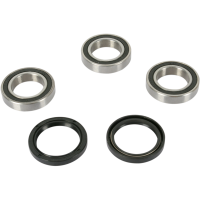(image for) Rear Wheel Bearing and Seal Kit