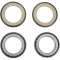 (image for) Steering Stem Bearing Kit 22-1039