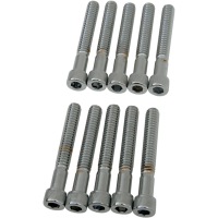 (image for) Coarse-Thread Socket-Head Bolt 1/4"-20 x 1 3/4"